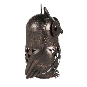 18"H LED Owl,zctc47m2347