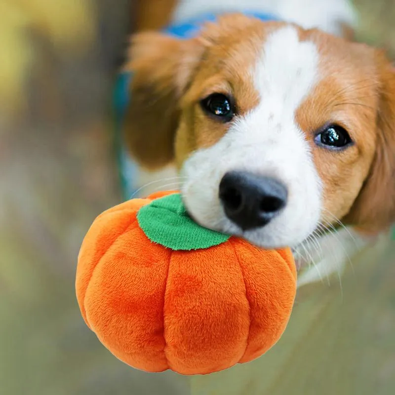 Adorable Plush Toys