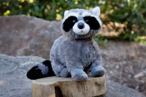 Bandit Raccoon