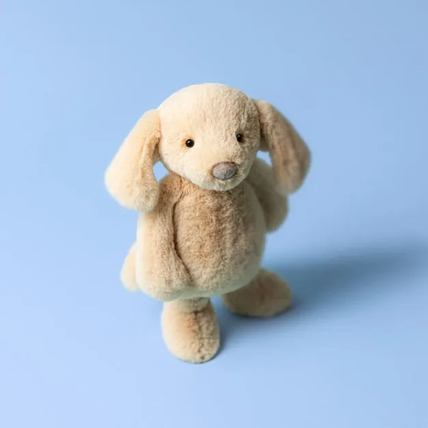 Bashful Luxe Puppy Orlando