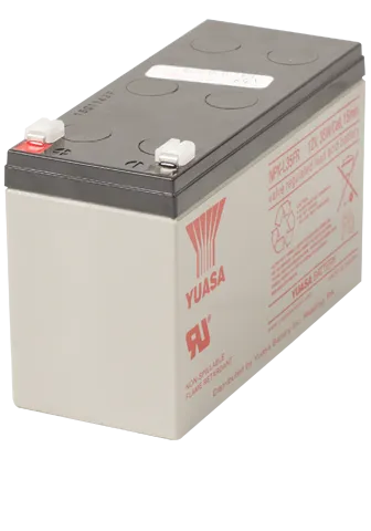 Battery for Go Getter, Acclaim and Explorer (BAT)