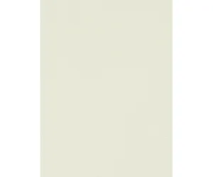 Beige Matte 46714 Wallpaper