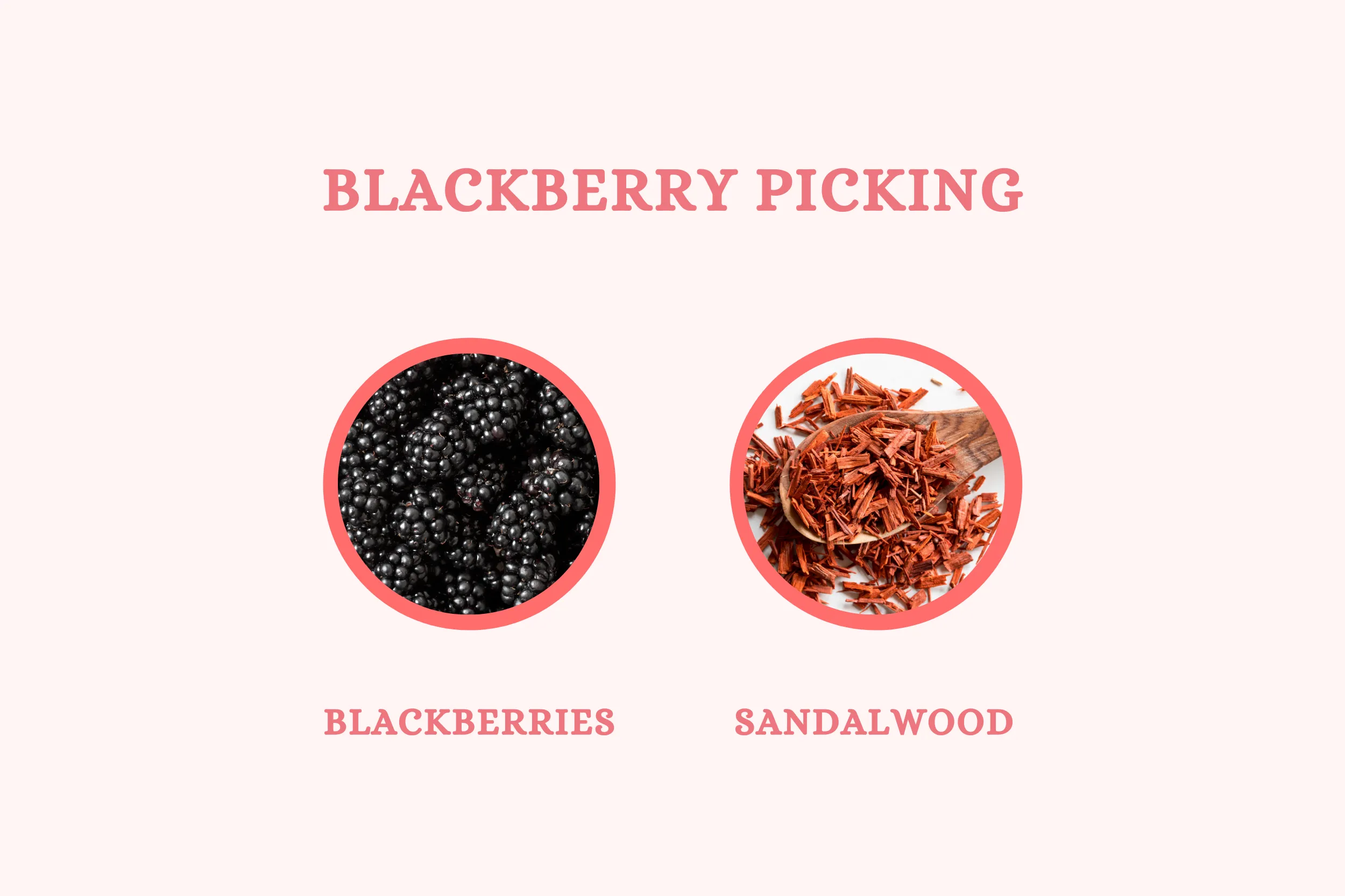 Blackberry Picking - Reed Diffuser
