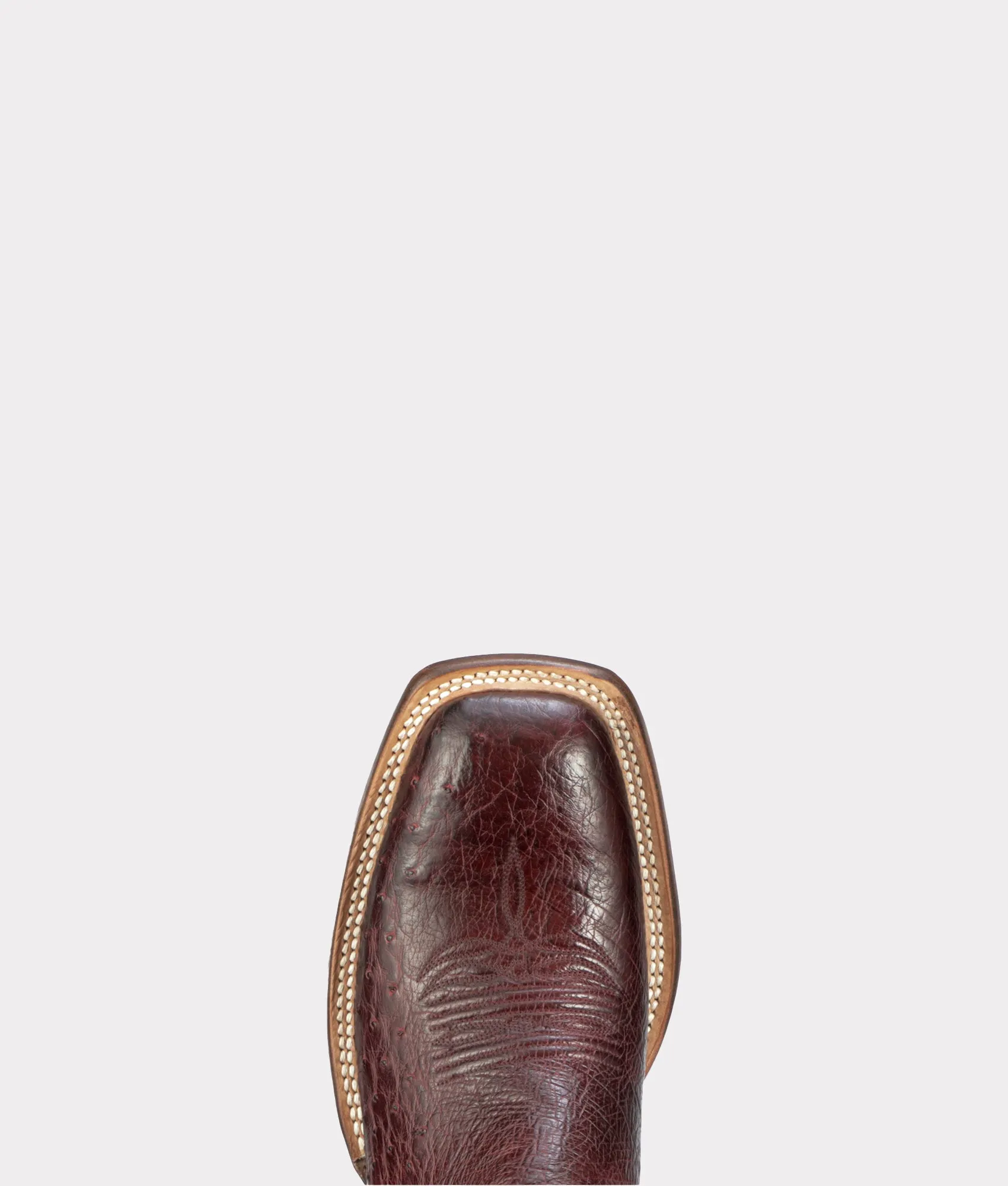 Cecil Exotic :: Black Cherry
