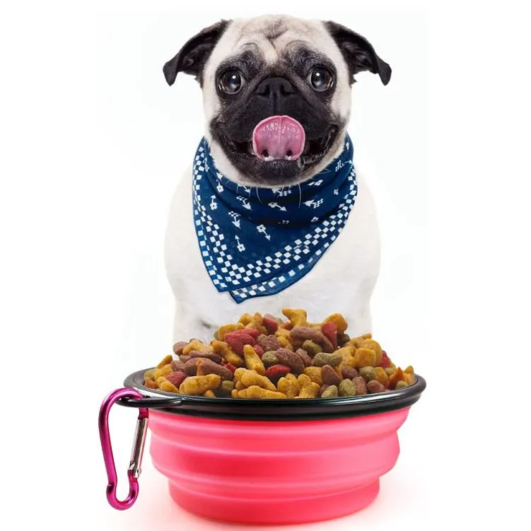 Collapsible Pet Bowl