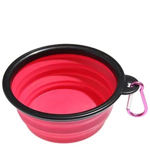 Collapsible Pet Bowl