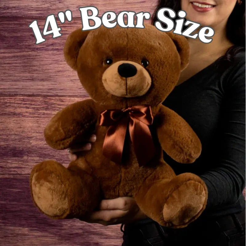 Cracker Barrell Teddy Bear With Postcard - PRICE INCLUDES FREE SHIPPING!!