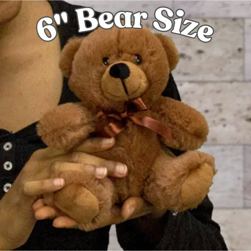 Cracker Barrell Teddy Bear With Postcard - PRICE INCLUDES FREE SHIPPING!!