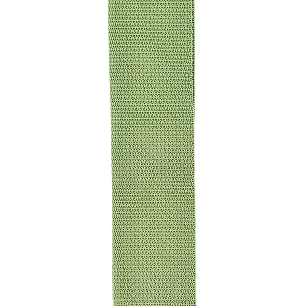 D'Addario PWS107 50mm Polypropylene Guitar Strap, Green