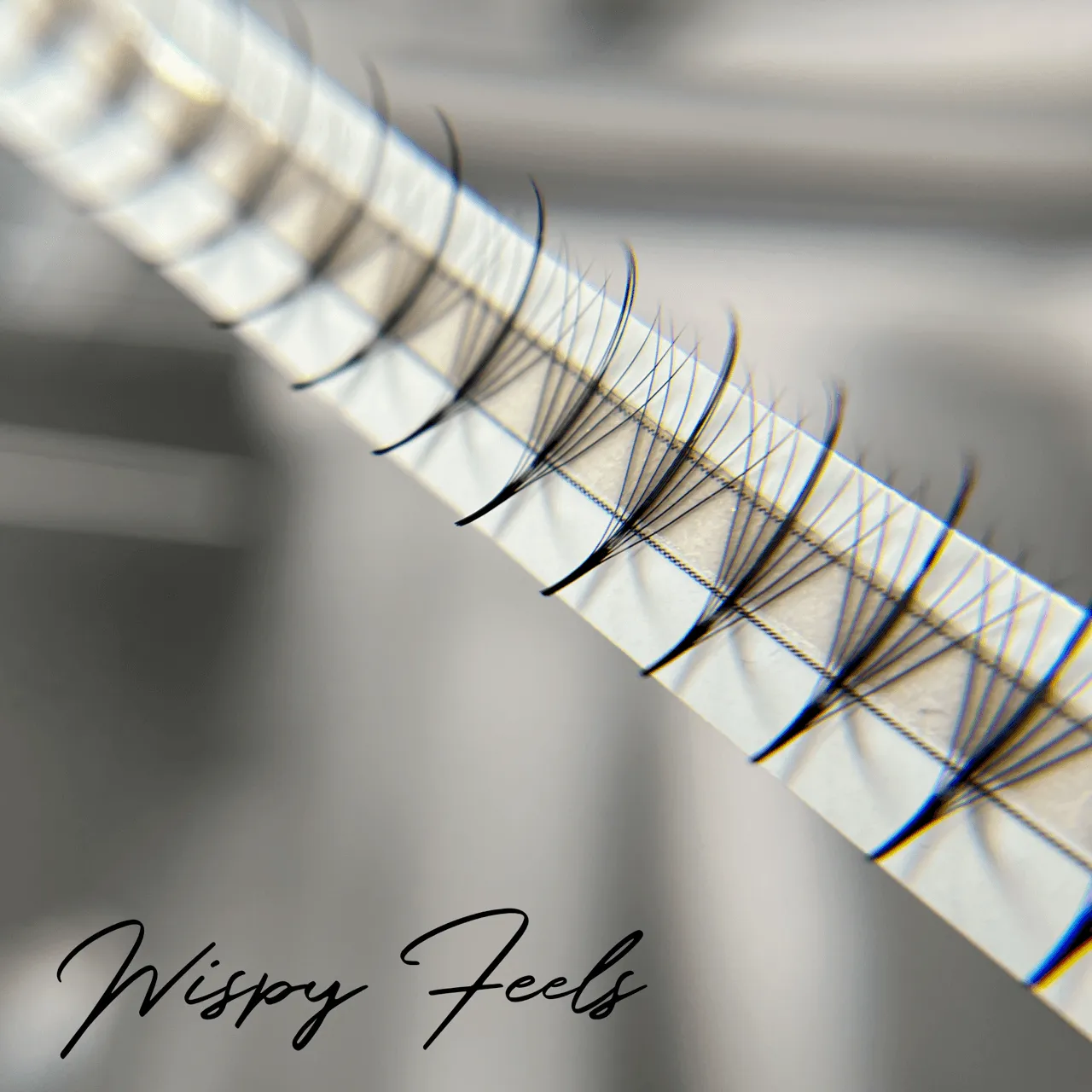DESIGNER - Premade Fans
