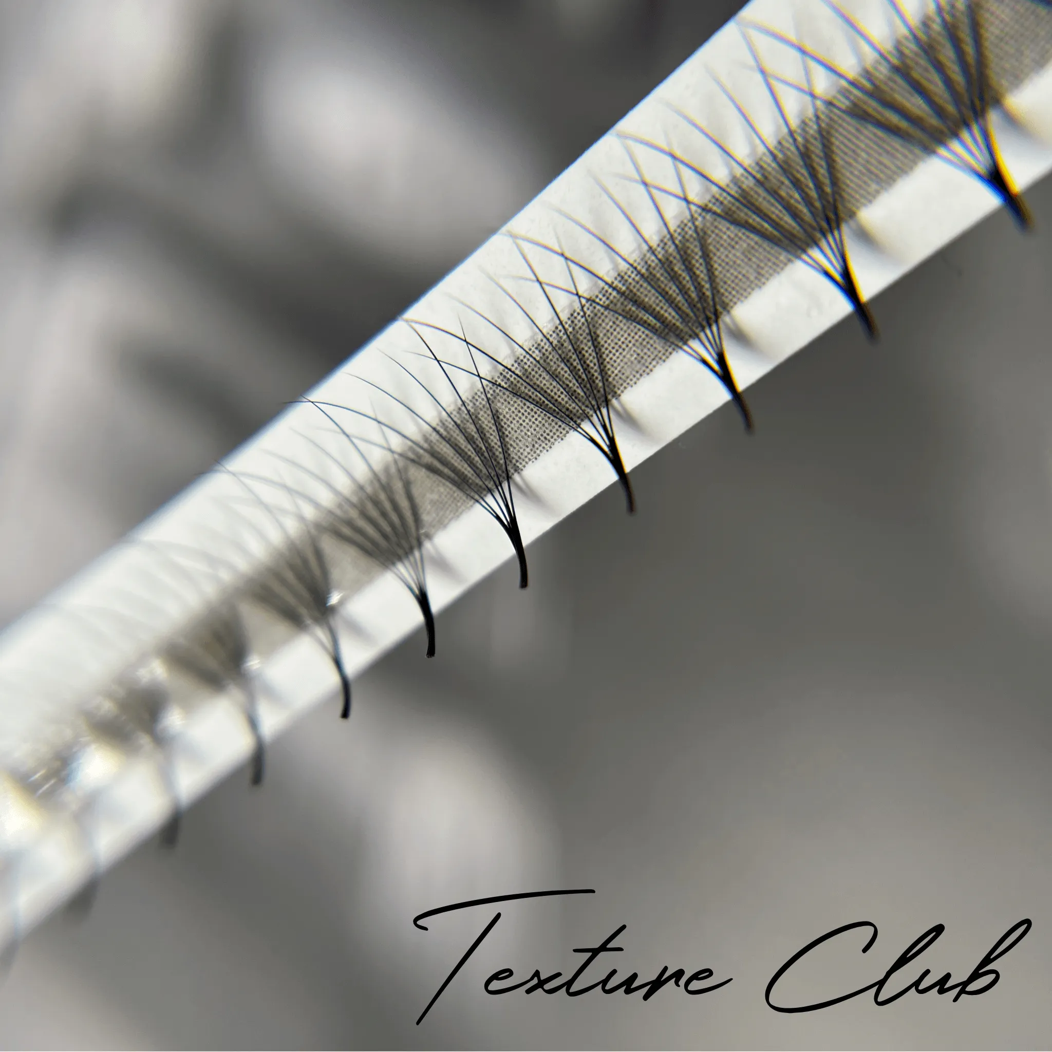 DESIGNER - Premade Fans