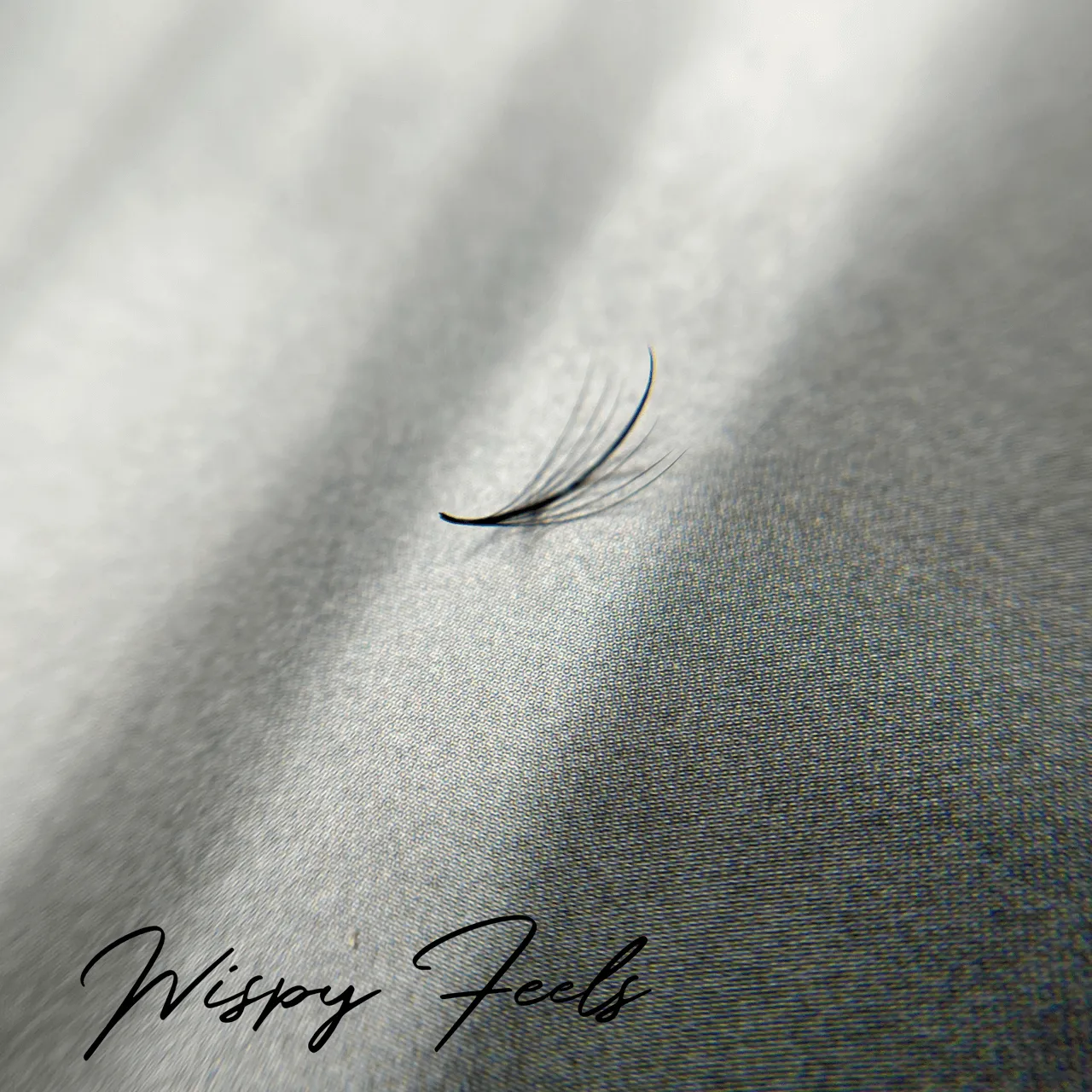 DESIGNER - Premade Fans