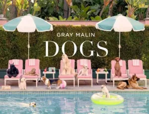 Dogs