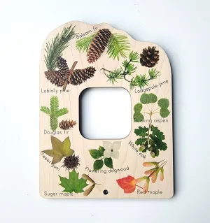 Double Sided Trees & Tracks Explorer