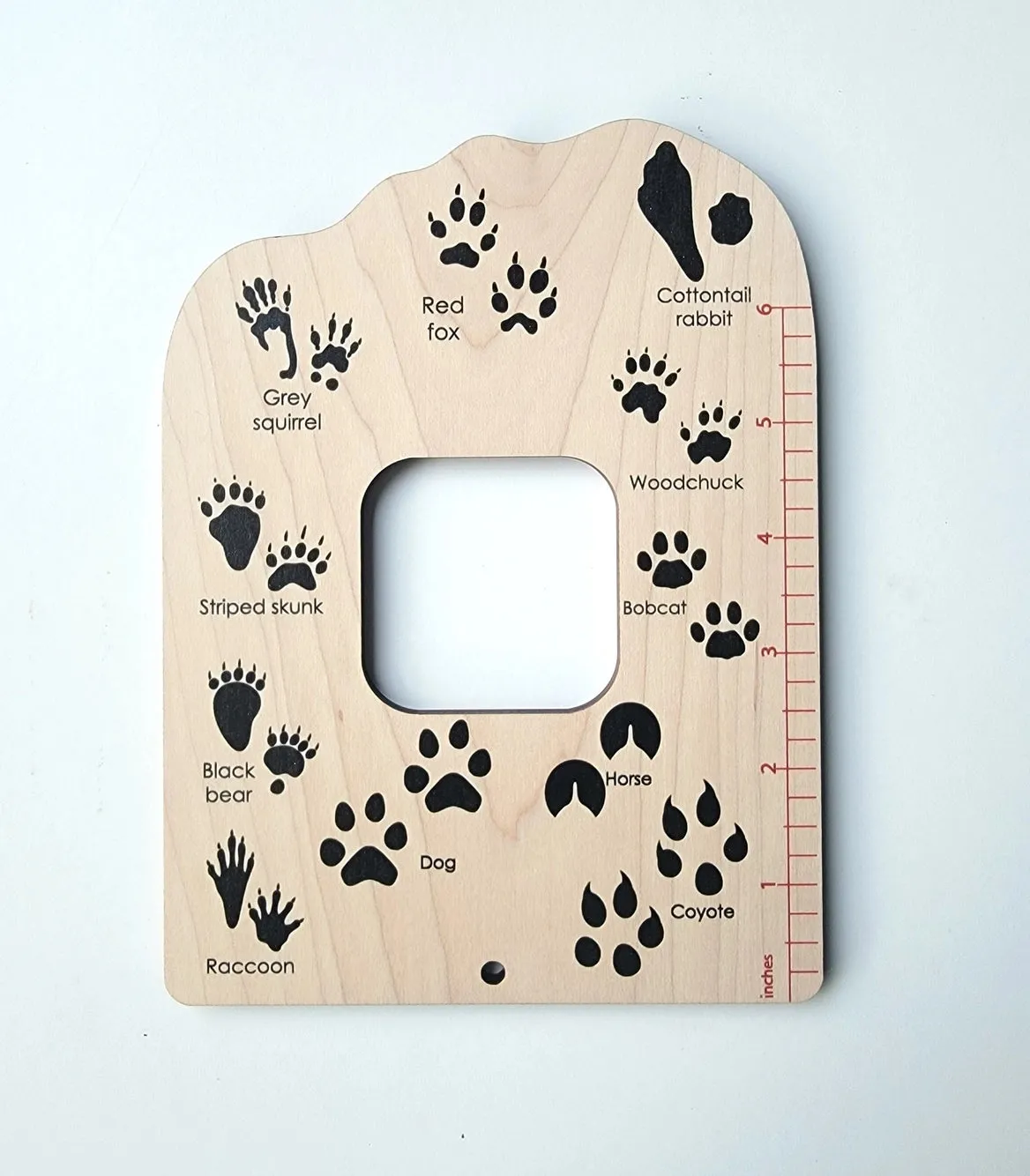 Double Sided Trees & Tracks Explorer