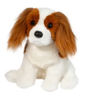 Douglas - Kingsley King Charles Cavalier