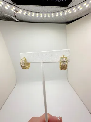 ELEGANT EARRINGS