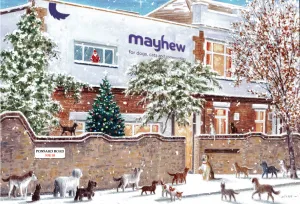 Exclusive Snowy Mayhew Cards