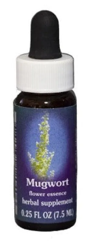 FES Quintessentials - Mugwort- .25 fl oz