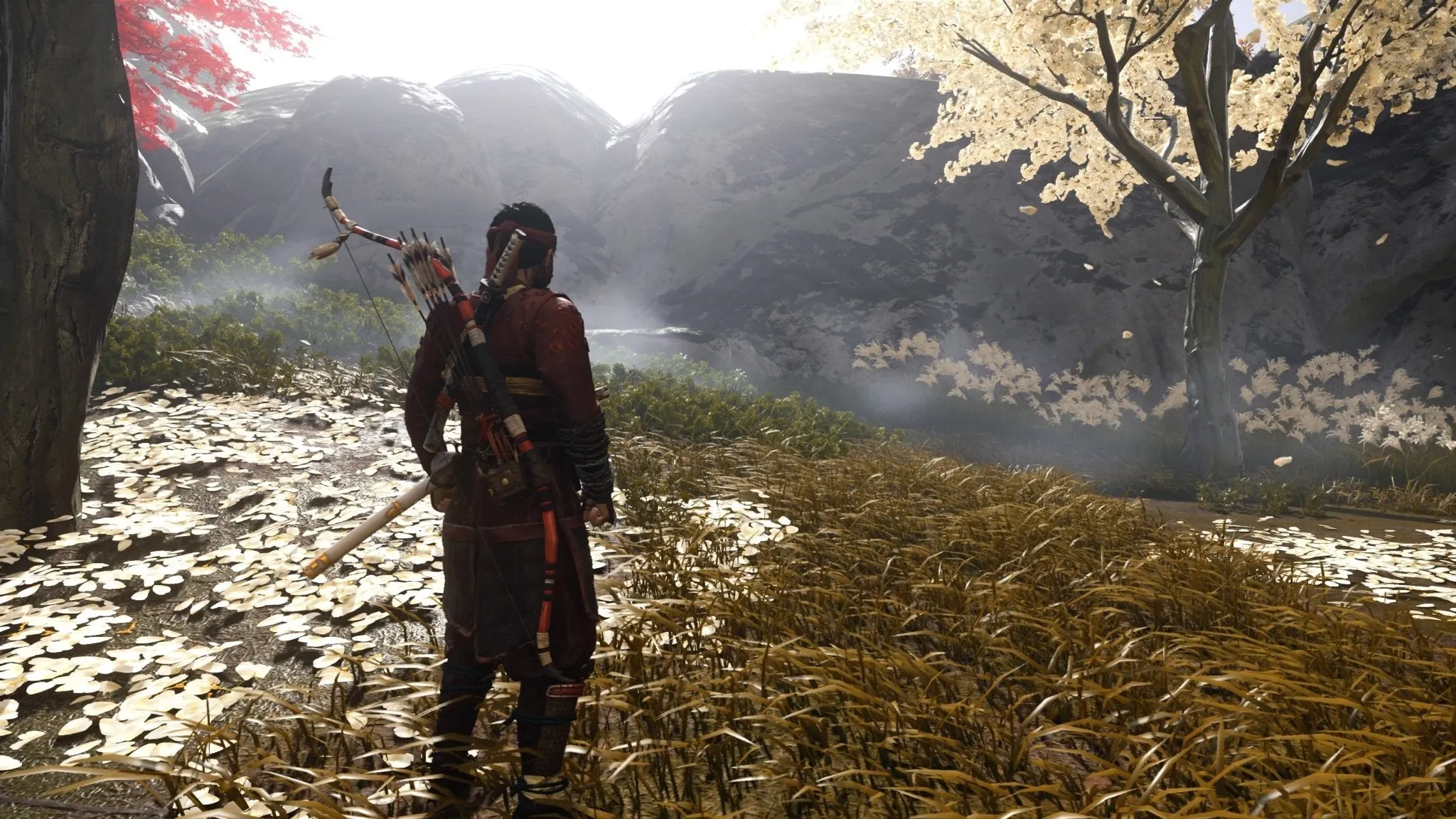 Ghost of Tsushima: Directors Cut - PC