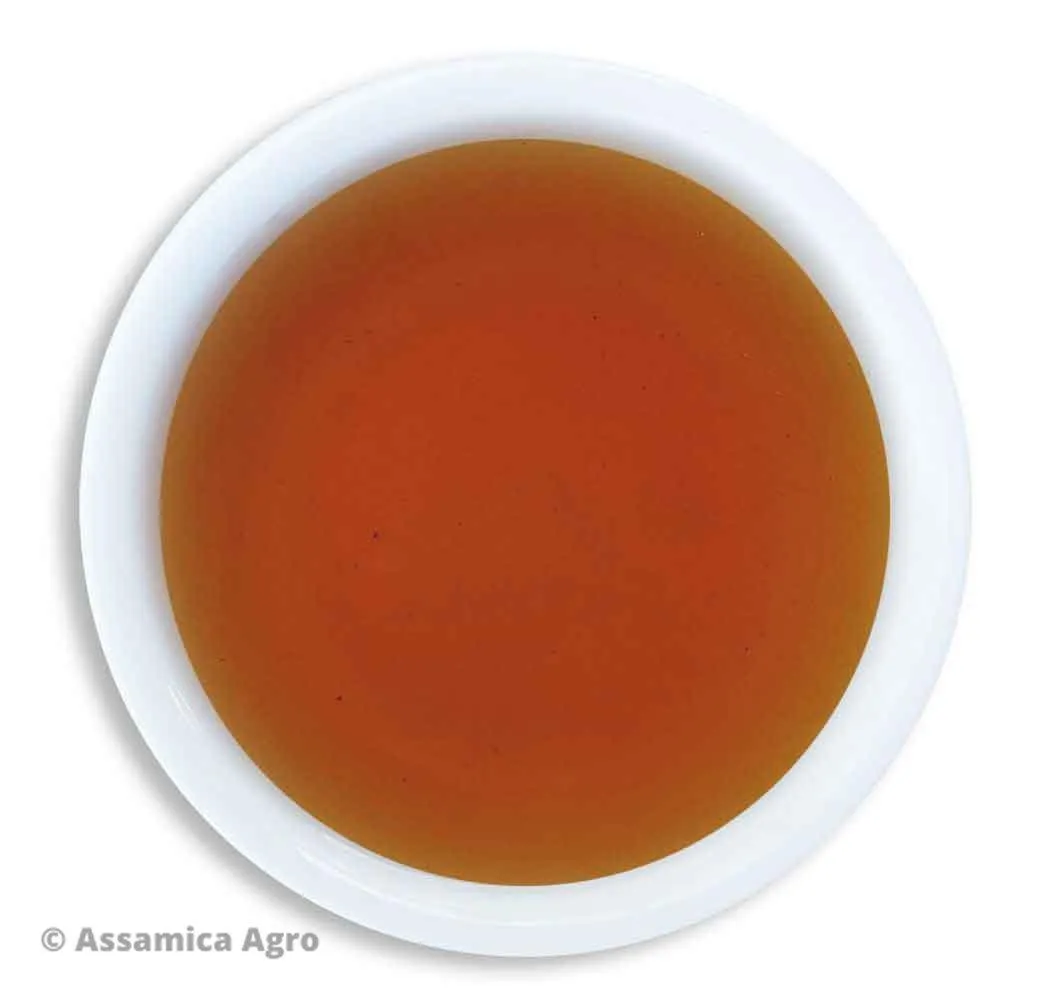 Ginger Lemongrass Oolong Special