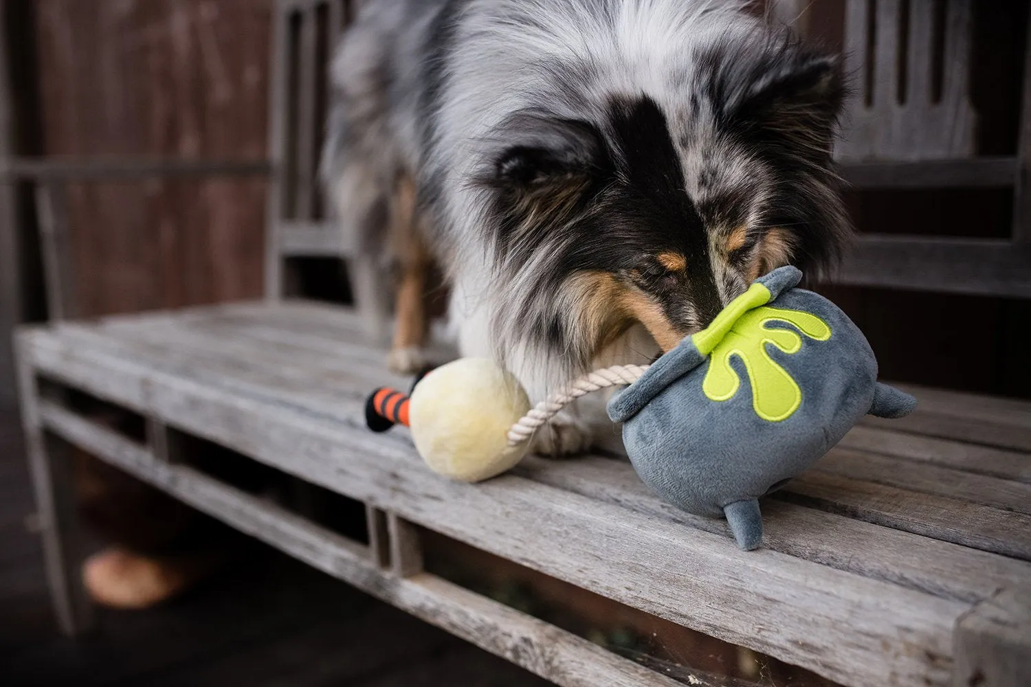 Howling Haunts Pups Potion