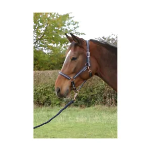 Hy Equestrian Rose Glitter Head Collar & Lead Rope Set