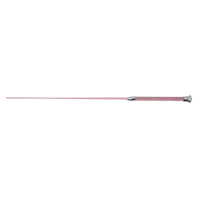HySCHOOL Diamante Stoned Schooling Whip