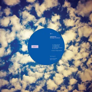 Immersion 'Living on An Island' Vinyl 10"
