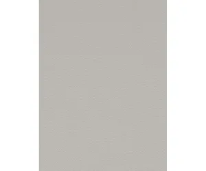 Light Grey Matte 46703 Wallpaper