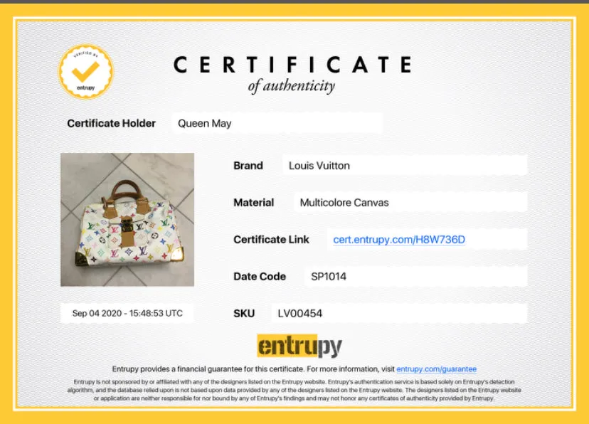 Louis Vuitton Multicolore Speedy 30
