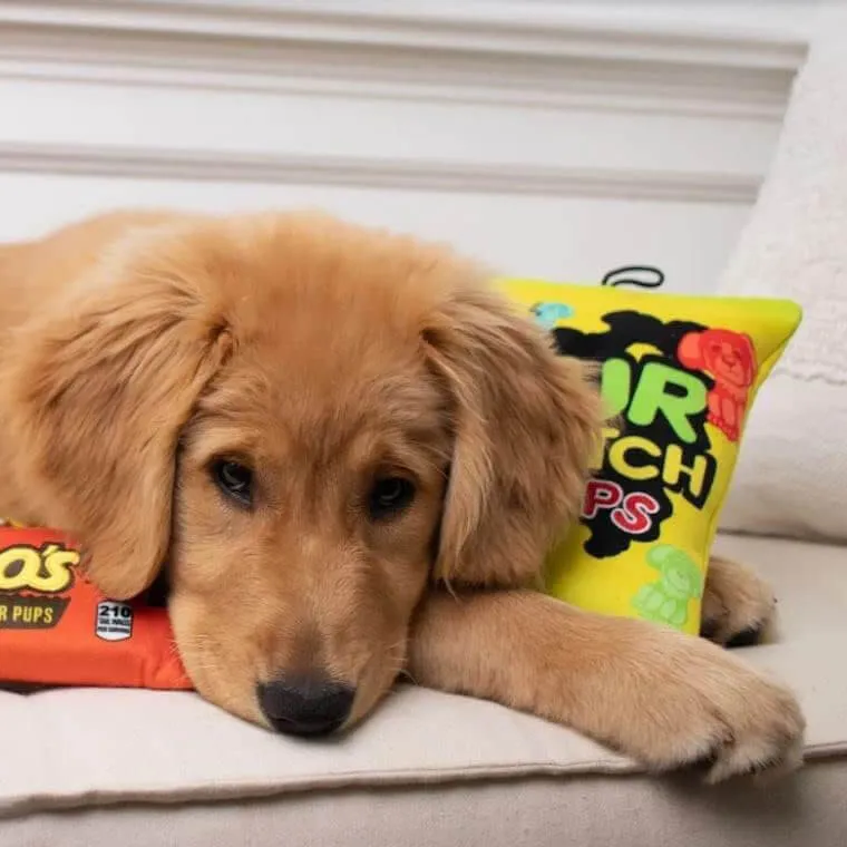 Lulubelles Power Plush Sour Scratch Pups
