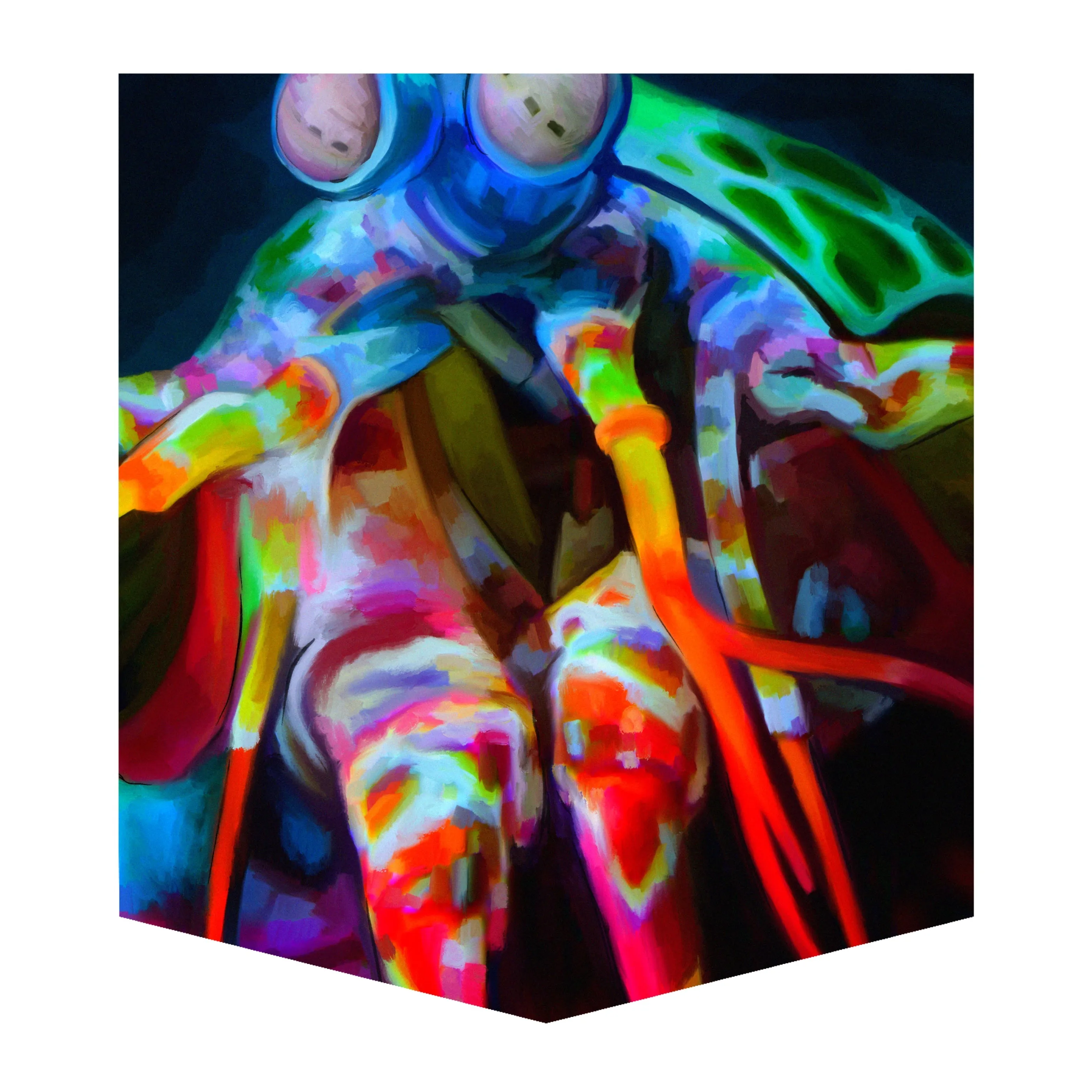 Mantis Shrimp Kid's Pocket Tee