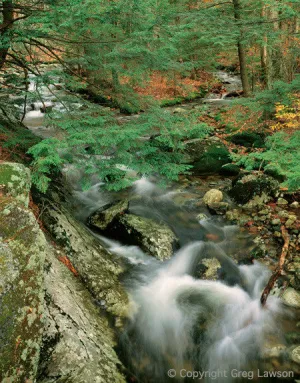 New Hampshire
