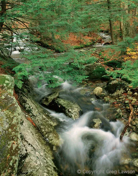 New Hampshire
