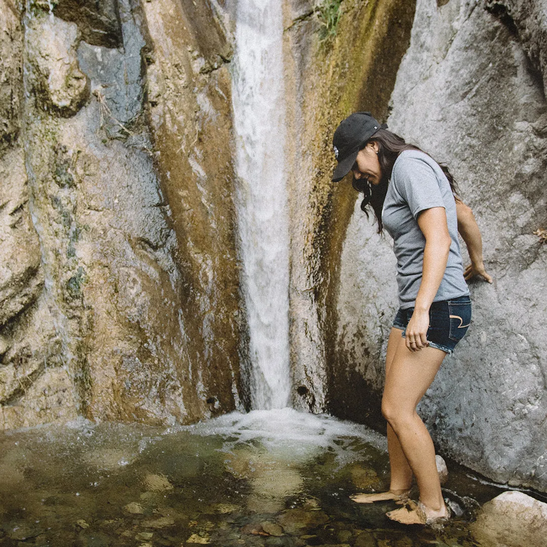 Organ MTN Explorer