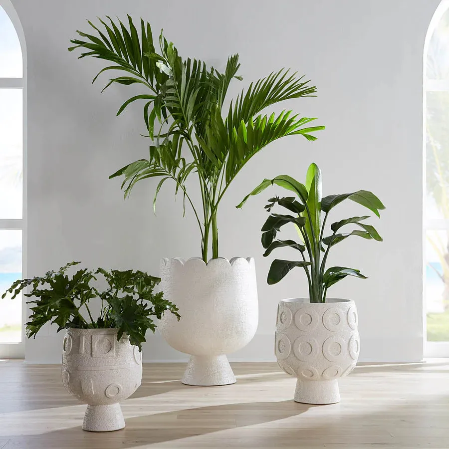 Osaka Disc Concrete Planter
