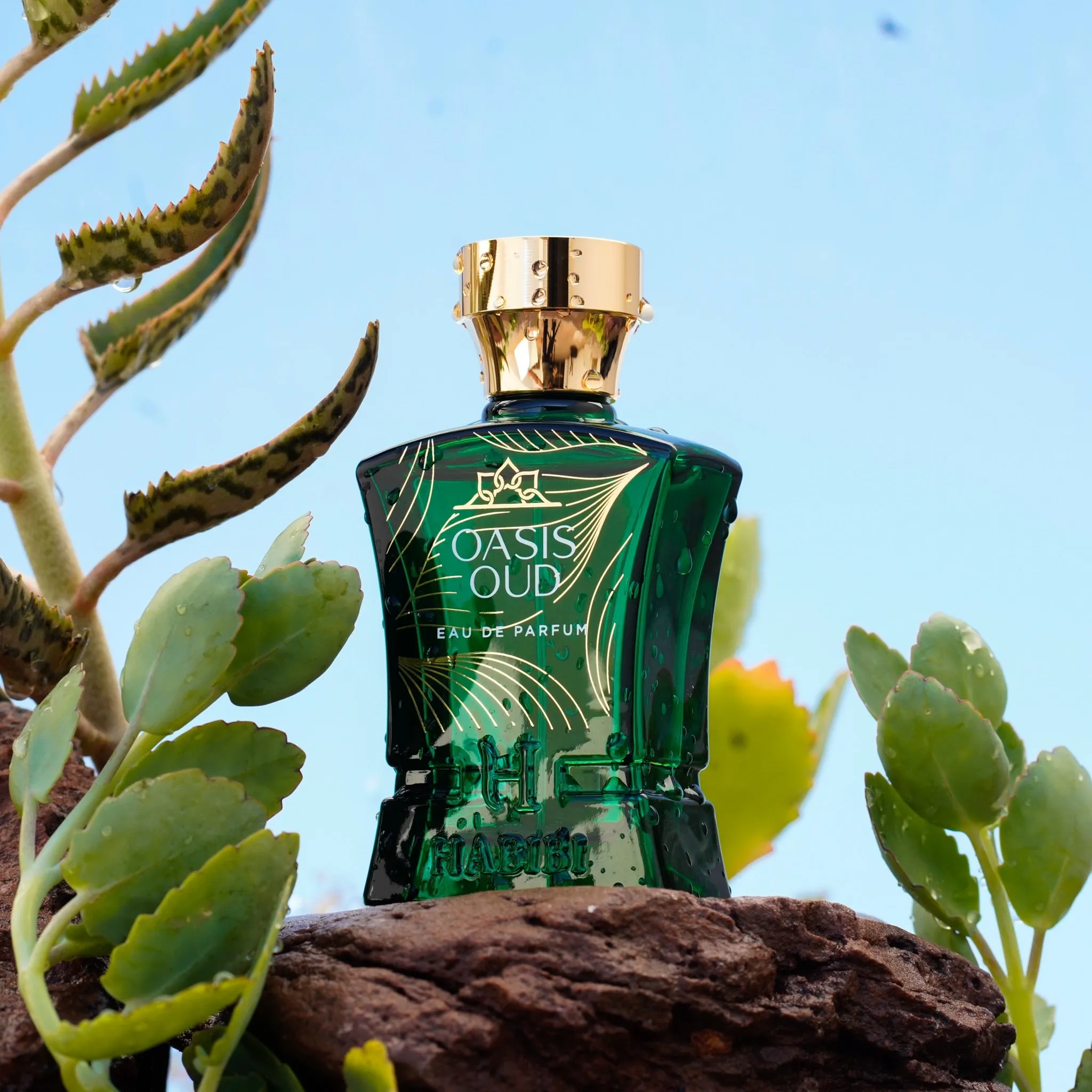 Oud Explorer Gift Set
