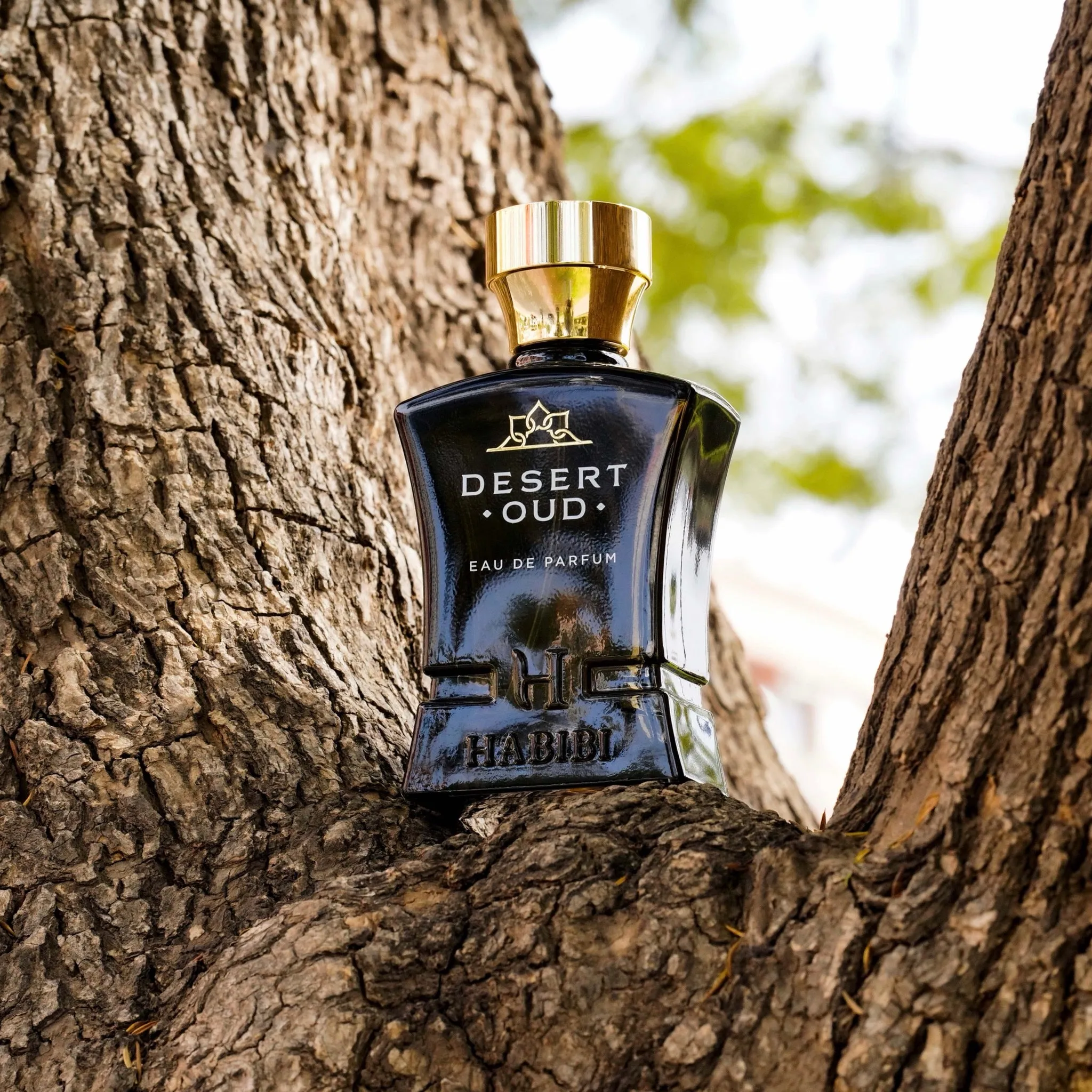 Oud Explorer Gift Set