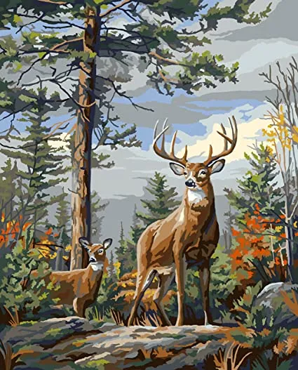 PAINT BY NUMBER - STANDING PROUD 20X16