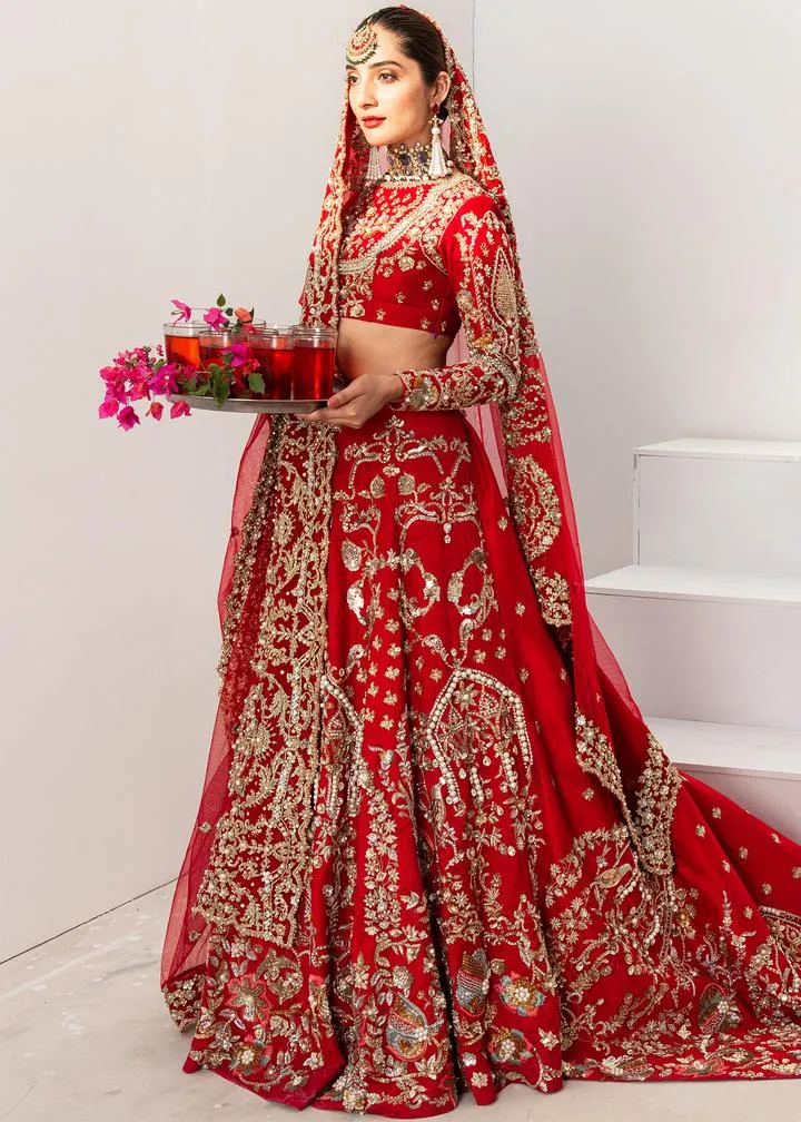 Pakistani Designer  Red Lehnga For Wedding #Y6233