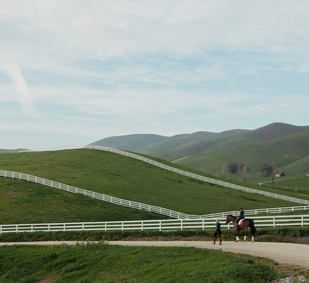 Pasture Boarding