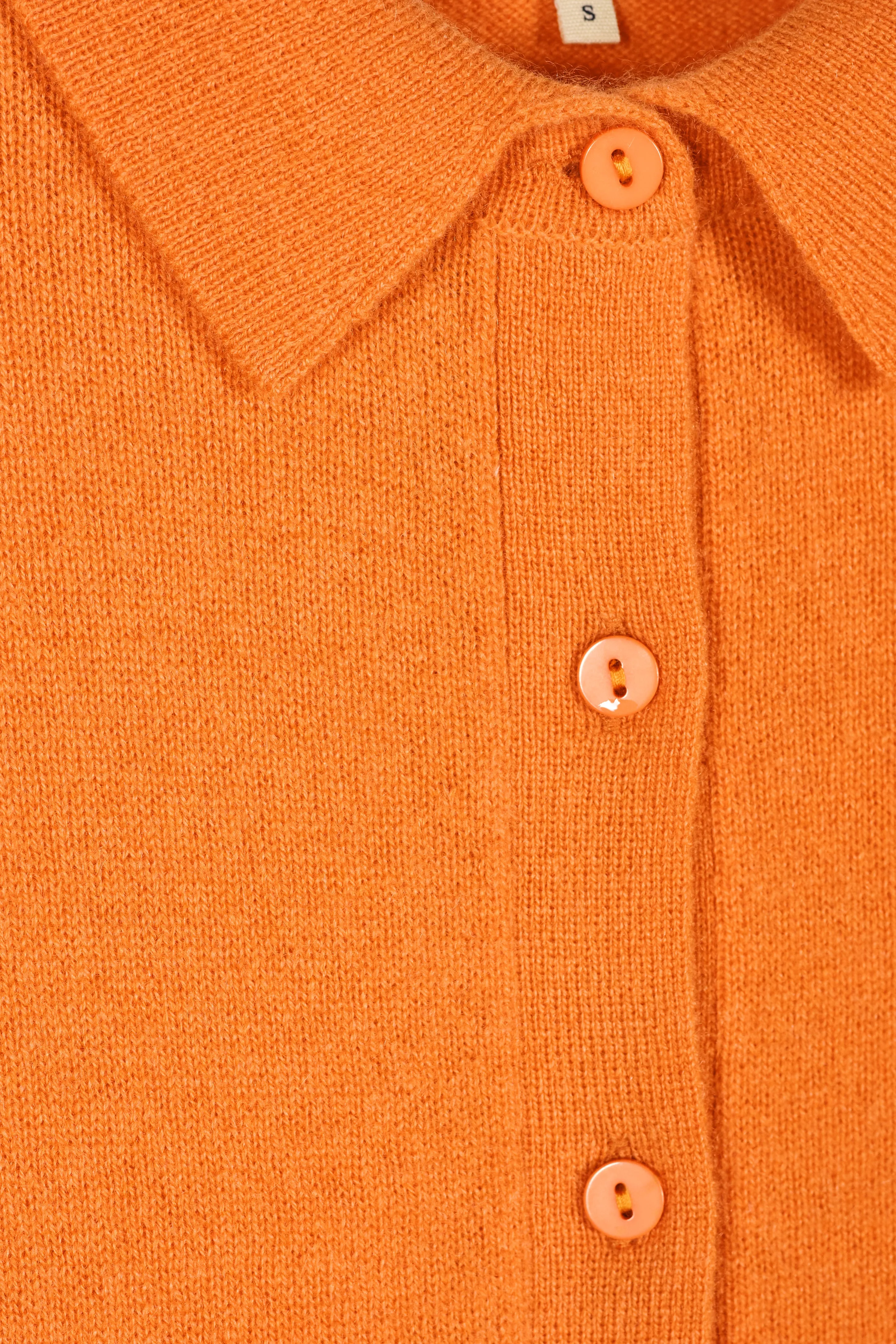 Picea Shirt