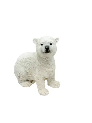 Polar Bear