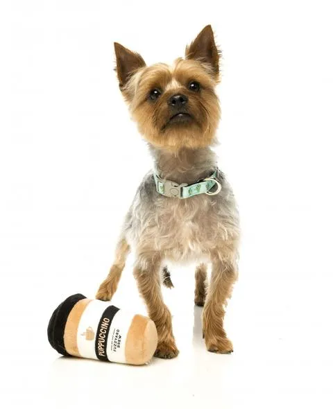 Puppuccino Plush Toy