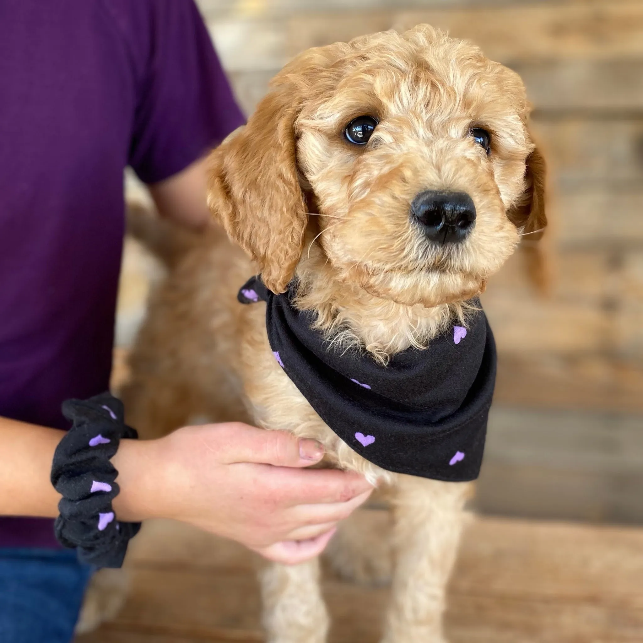 Purple Hearts on Black Scrunchie