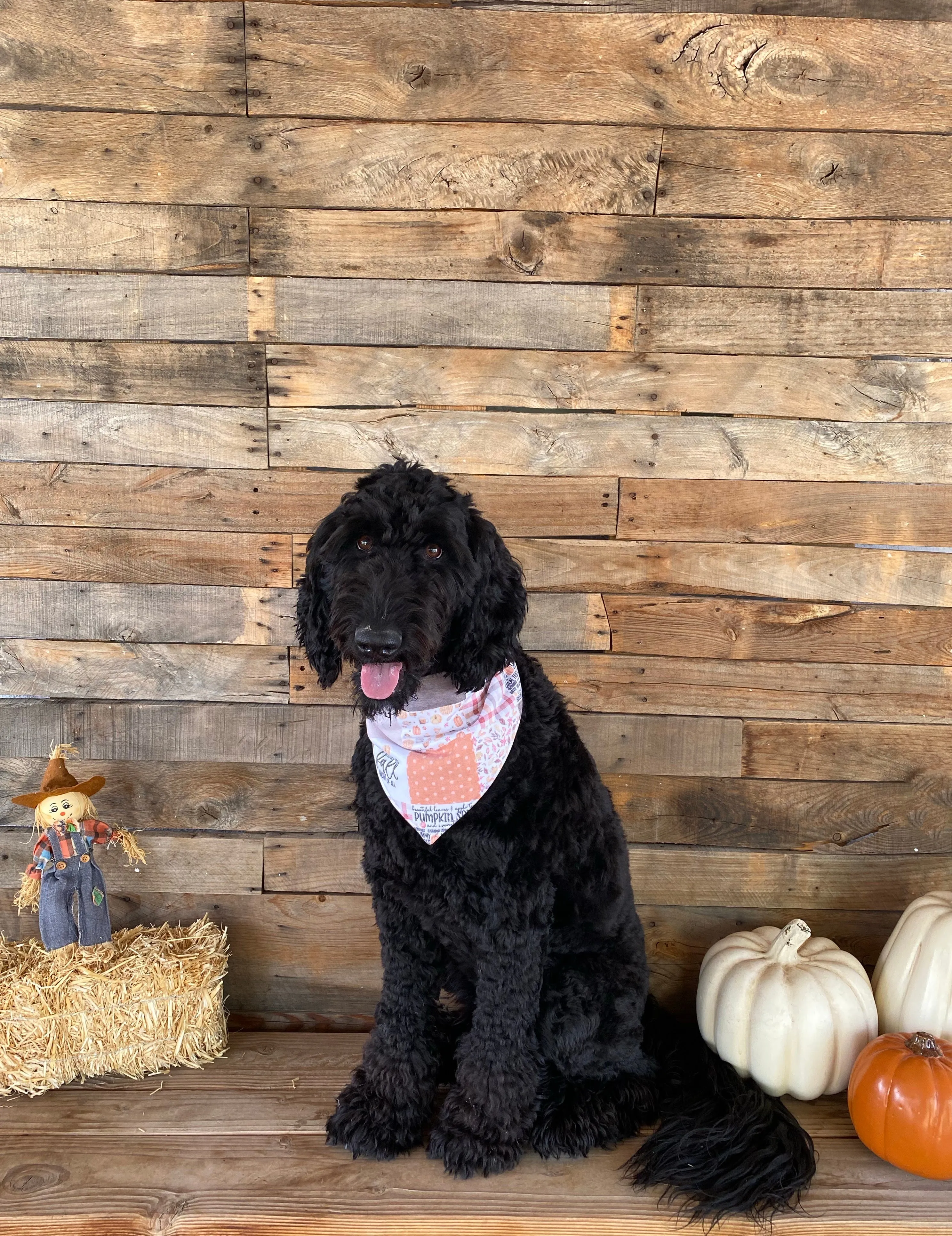 "I Love Fall Most of All" Faux Quilt scARF