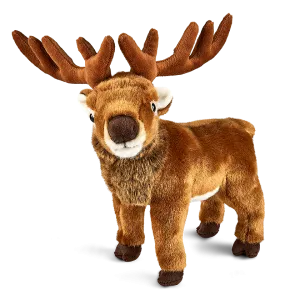 Red Deer Stag