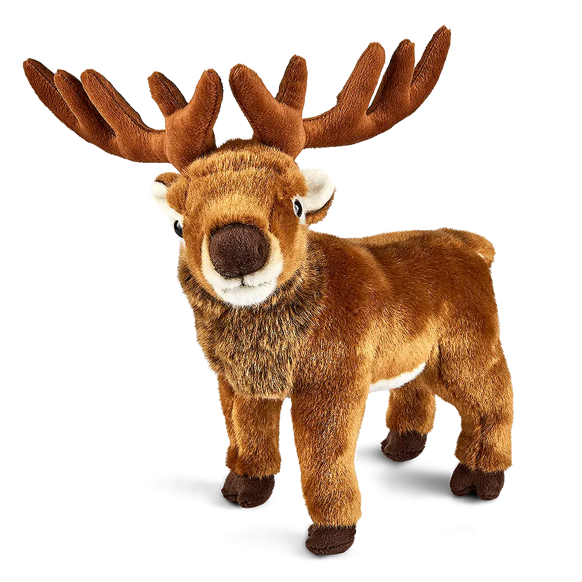 Red Deer Stag