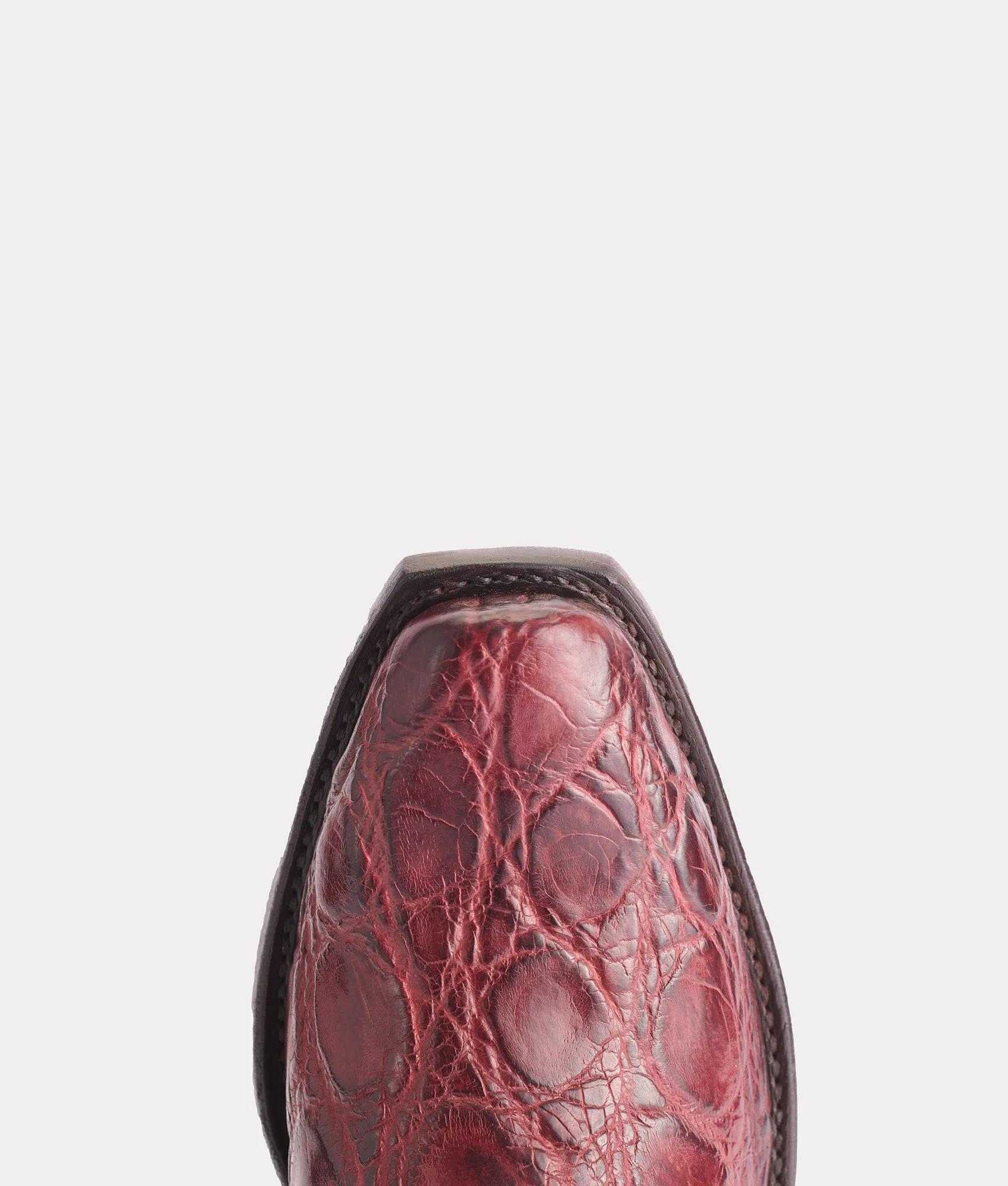 Rio :: Black Cherry   Black